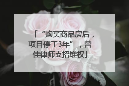 “购买商品房后，项目停工3年”，曾佳律师支招维权
