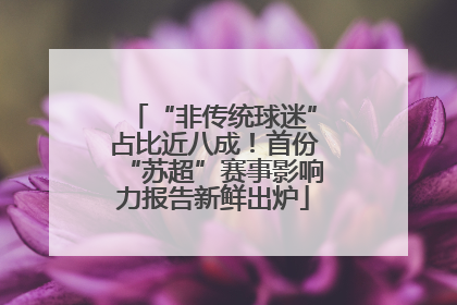 “非传统球迷”占比近八成！首份“苏超”赛事影响力报告新鲜出炉