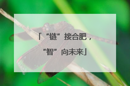 “链”接合肥，“智”向未来