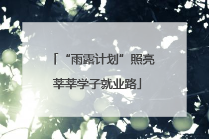 “雨露计划”照亮莘莘学子就业路