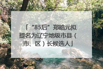 “85后”郑皓元拟提名为辽宁地级市县（市、区）长候选人