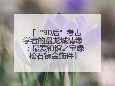 “90后”考古学者的盘龙城情缘：最爱镇馆之宝绿松石镶金饰件