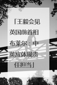王毅会见英国前首相布莱尔：中英应体现责任担当
