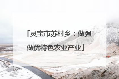 灵宝市苏村乡：做强做优特色农业产业