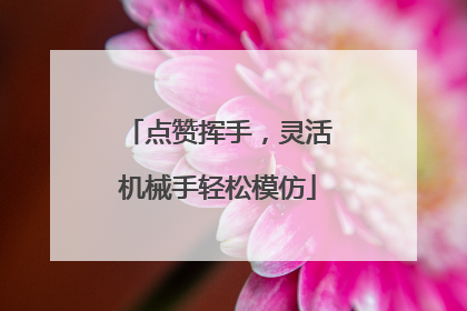 点赞挥手，灵活机械手轻松模仿