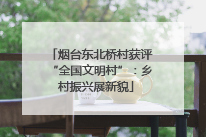 烟台东北桥村获评“全国文明村”：乡村振兴展新貌