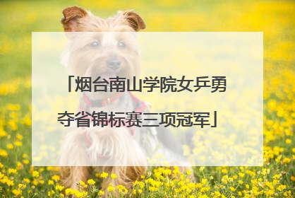烟台南山学院女乒勇夺省锦标赛三项冠军