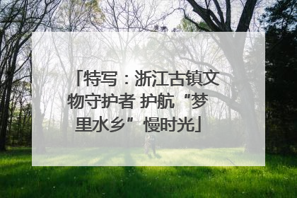 特写：浙江古镇文物守护者 护航“梦里水乡”慢时光