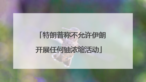 特朗普称不允许伊朗开展任何铀浓缩活动