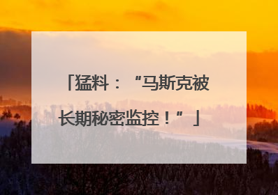 猛料：“马斯克被长期秘密监控！”