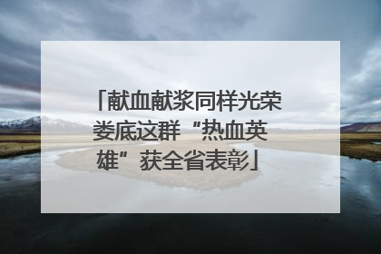 献血献浆同样光荣 娄底这群“热血英雄”获全省表彰