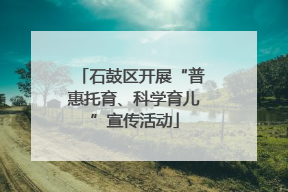 石鼓区开展“普惠托育、科学育儿”宣传活动