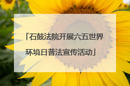 石鼓法院开展六五世界环境日普法宣传活动