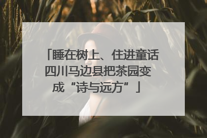 睡在树上、住进童话 四川马边县把茶园变成“诗与远方”