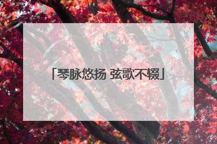 琴脉悠扬 弦歌不辍