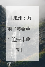 瓜州：万亩“黄金草”迎来丰收季