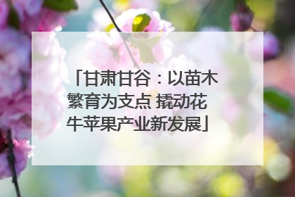 甘肃甘谷：以苗木繁育为支点 撬动花牛苹果产业新发展