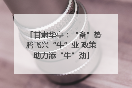 甘肃华亭：“畜”势腾飞兴“牛”业 政策助力添“牛”劲