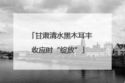 甘肃清水黑木耳丰收应时“绽放”