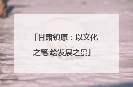 甘肃镇原：以文化之笔 绘发展之景