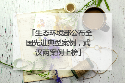 生态环境部公布全国先进典型案例，武汉两案例上榜
