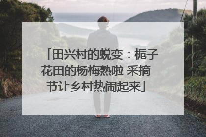 田兴村的蜕变：栀子花田的杨梅熟啦 采摘节让乡村热闹起来