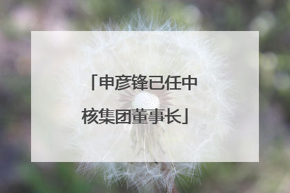 申彦锋已任中核集团董事长