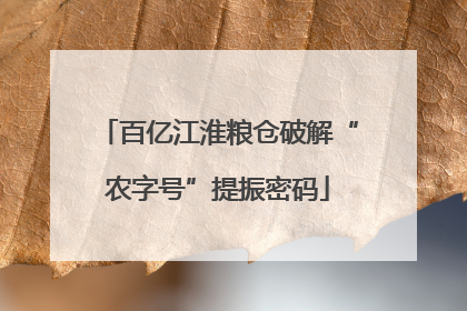 百亿江淮粮仓破解“农字号”提振密码