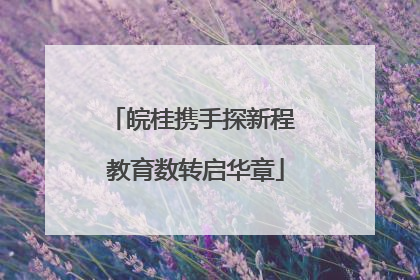 皖桂携手探新程 教育数转启华章