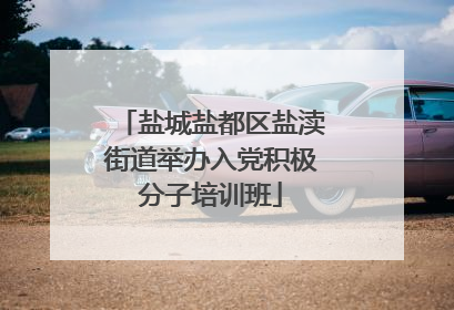 盐城盐都区盐渎街道举办入党积极分子培训班