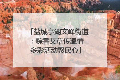 盐城亭湖文峰街道：粽香艾草传温情 多彩活动聚民心