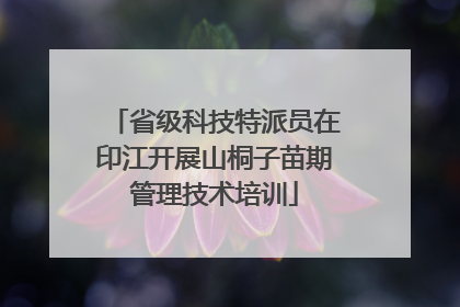 省级科技特派员在印江开展山桐子苗期管理技术培训