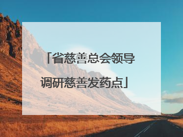 省慈善总会领导调研慈善发药点