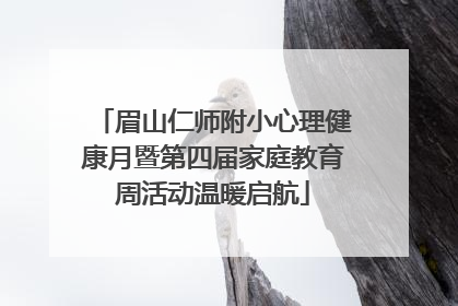 眉山仁师附小心理健康月暨第四届家庭教育周活动温暖启航