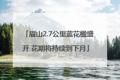 眉山2.7公里蓝花楹盛开 花期将持续到下月