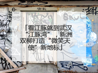 看江豚就到武汉“江豚湾”，新洲双柳打造“微笑天使”新地标