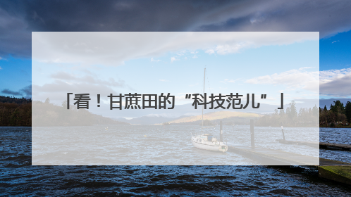 看！甘蔗田的“科技范儿”