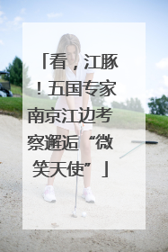 看，江豚！五国专家南京江边考察邂逅“微笑天使”
