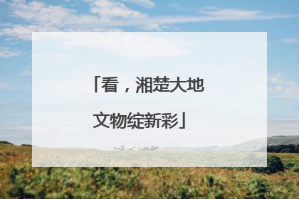 看，湘楚大地文物绽新彩