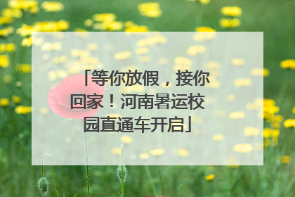 等你放假，接你回家！河南暑运校园直通车开启