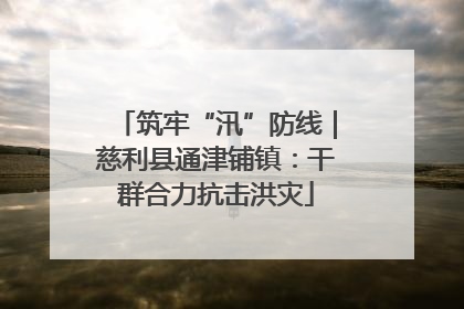 筑牢“汛”防线｜慈利县通津铺镇：干群合力抗击洪灾
