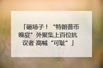 砸场子！“特朗普币晚宴”外聚集上百位抗议者 高喊“可耻”