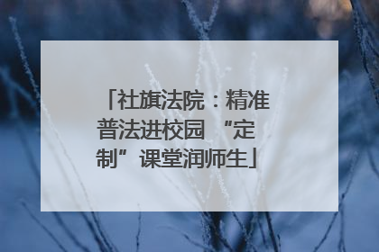 社旗法院：精准普法进校园 “定制”课堂润师生