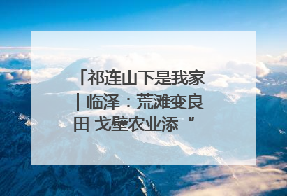祁连山下是我家｜临泽：荒滩变良田 戈壁农业添“绿”生“金”