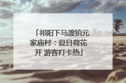 祁阳下马渡镇元家庙村：夏日荷花开 游客打卡热