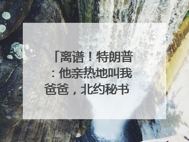 离谱！特朗普：他亲热地叫我爸爸，北约秘书长：我没有