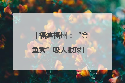 福建福州：“金鱼秀”吸人眼球
