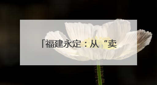 福建永定：从“卖力气”到“学手艺”“赈”能量激活乡村振兴内动力