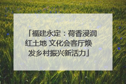福建永定：荷香浸润红土地 文化会客厅焕发乡村振兴新活力