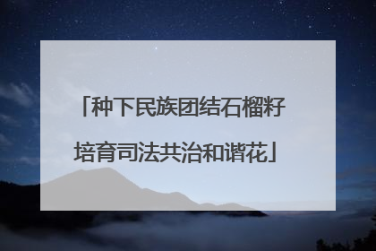 种下民族团结石榴籽 培育司法共治和谐花